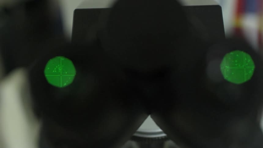 Green squiggles move under a microscope