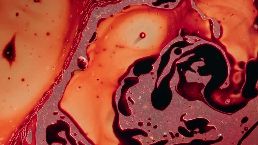 Orange expands then contracts on the liquid surface