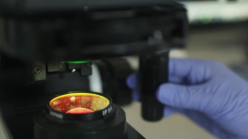 A nitrile-gloved hand operates a microscope in a lab