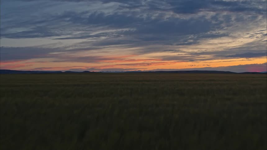 Sunset over a grass field colors the sky gold and pink