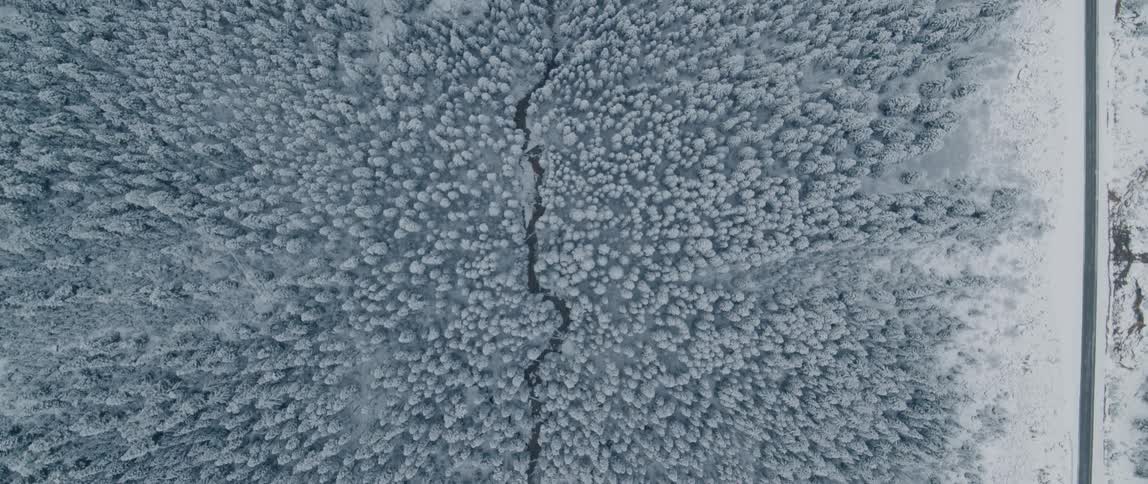 Aerial view of a forest with snow covered trees