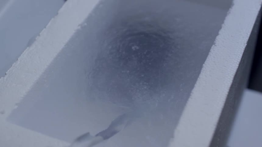 A styrofoam container is filled with water