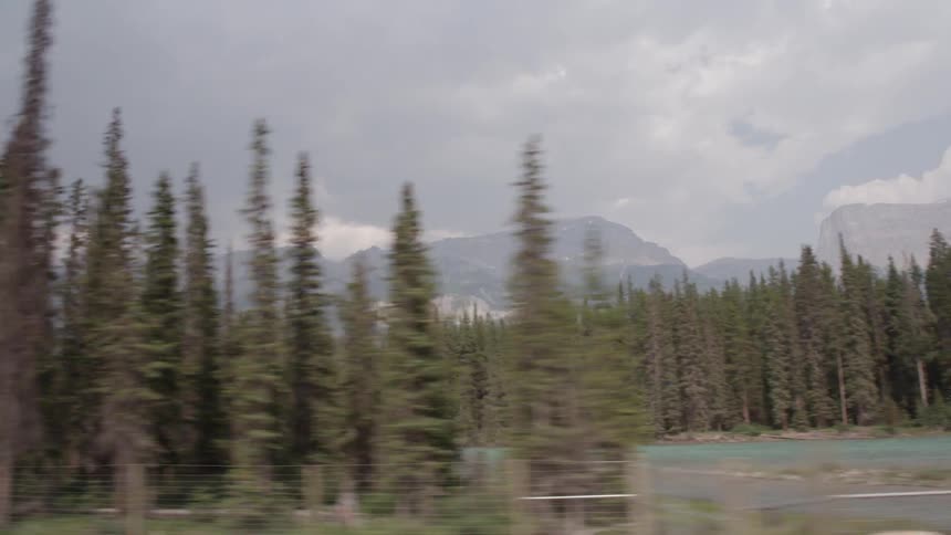 Moving past water and trees on a cloudy day