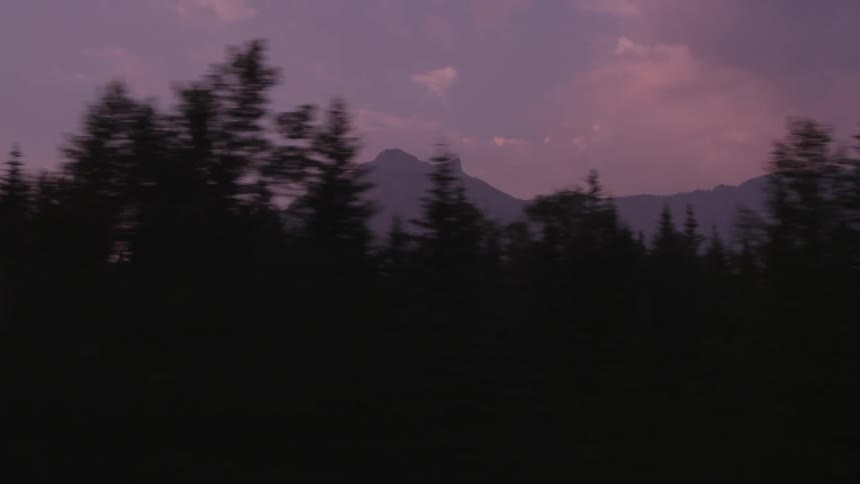 A large forest leads to a mountain in the distance