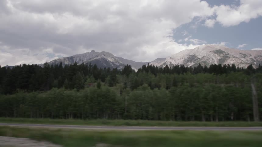 Woods lead to a snow covered mountain