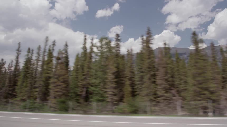 Moving along a roadside lined with trees