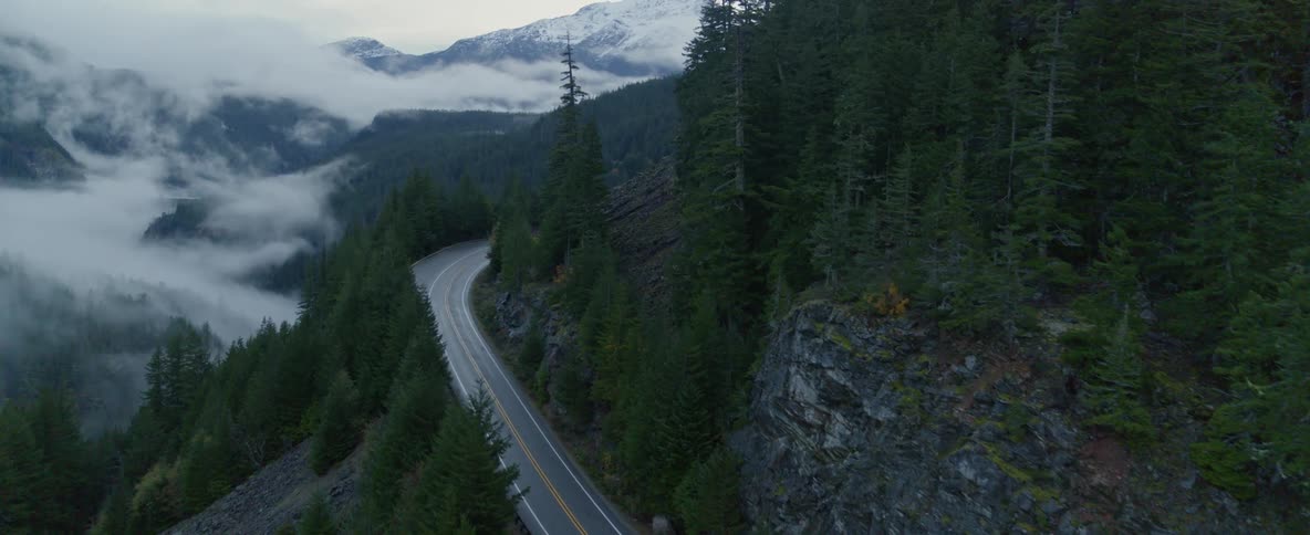 An aerial view of a mountain road winding through pine trees