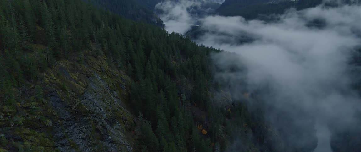 Fog rises from the valley between forested mountains over a stream