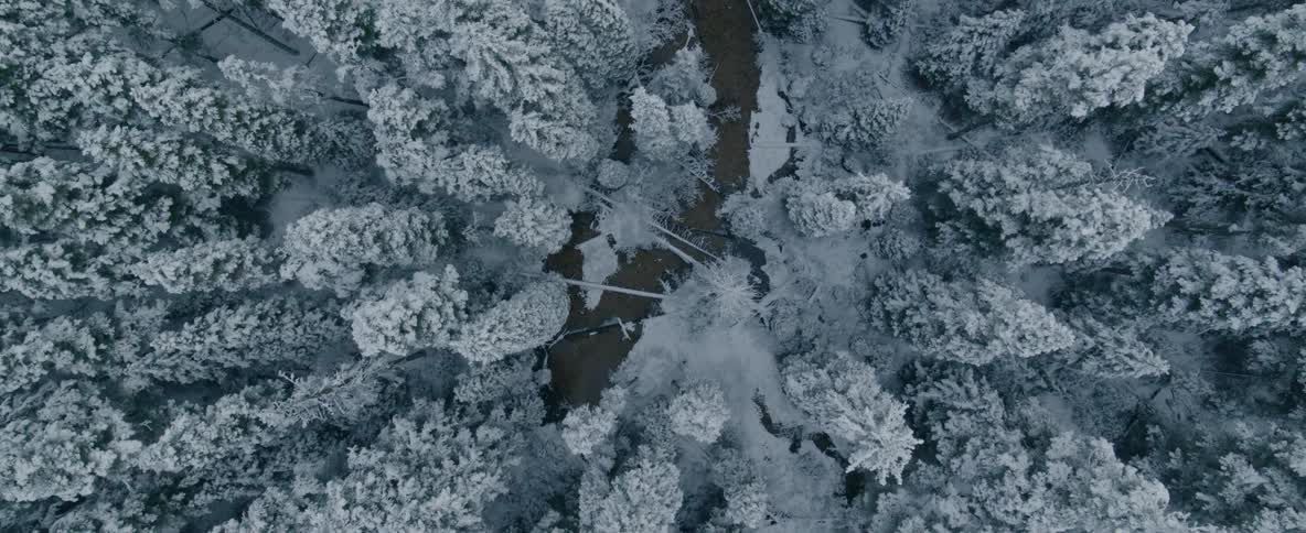 Aerial view of a stream in a snow covered forest
