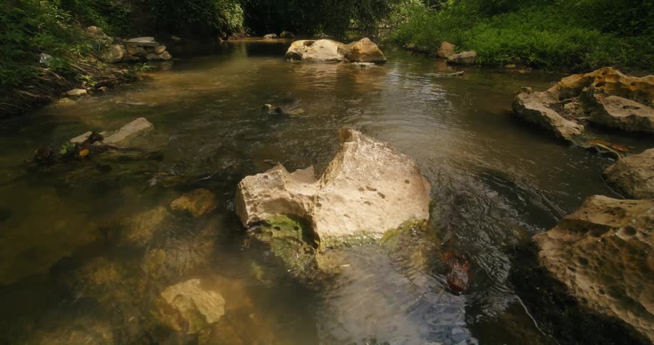 Water flows over the rocks in the creek next to the forest on a sunny day