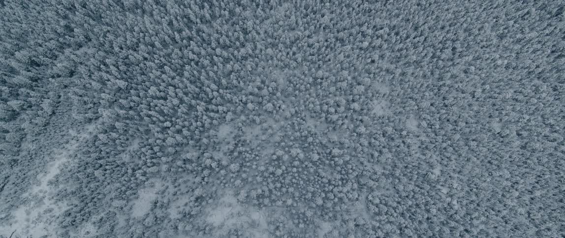 Wide aerial over a snow covered forest