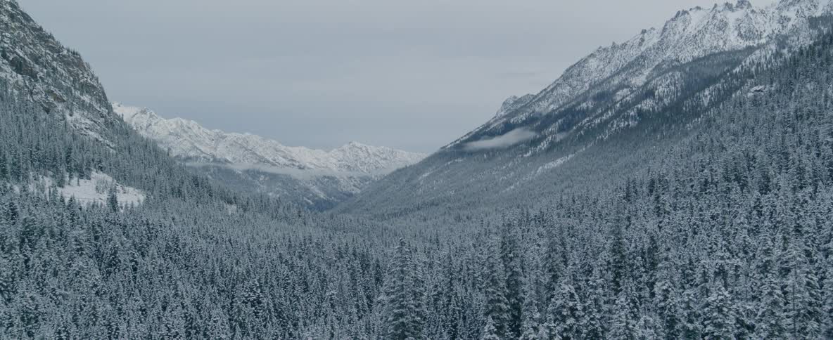 Snow covered trees sit in a mountain valley