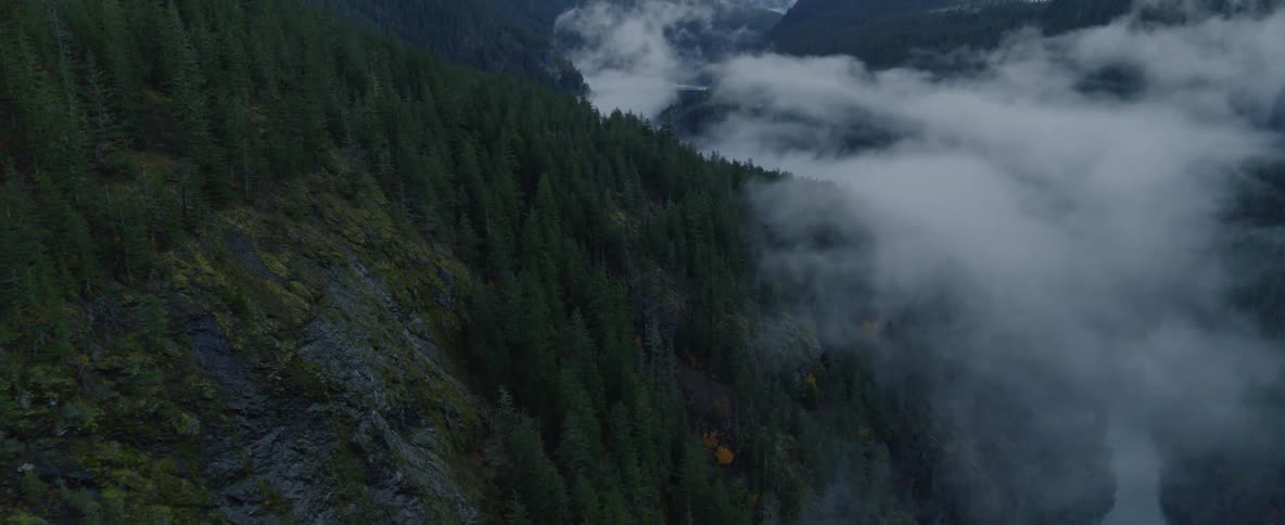Aerial over forested and foggy mountain slope