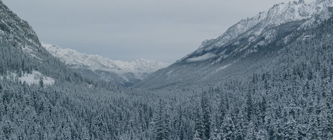 Snow covered valley of trees
