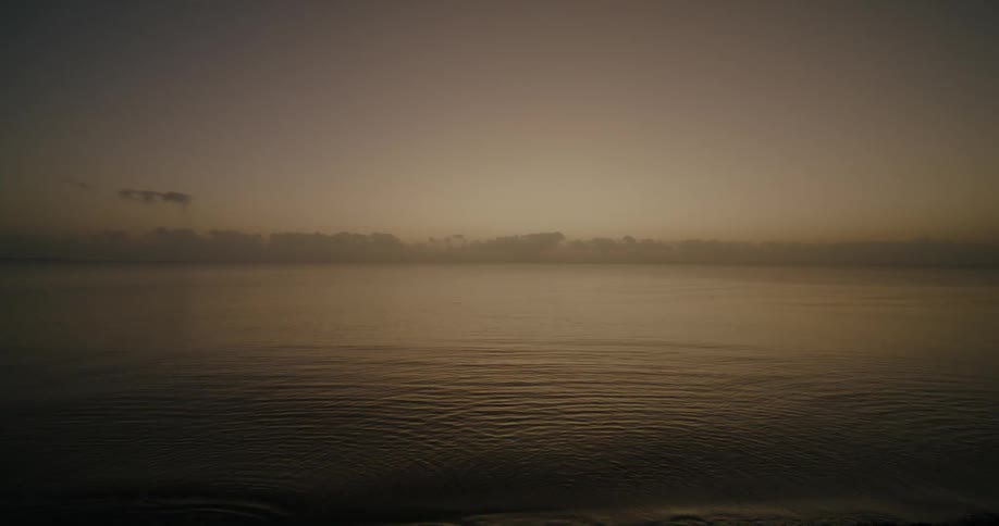 Three seagulls skim the surface of the ocean water then fly away