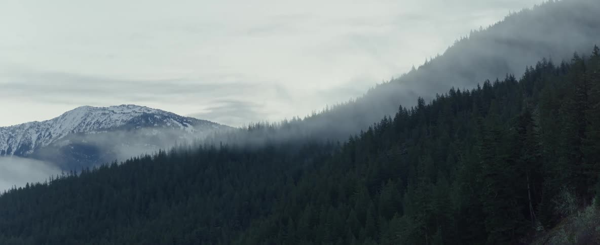 Low clouds hang over a forest canopy in the mountains