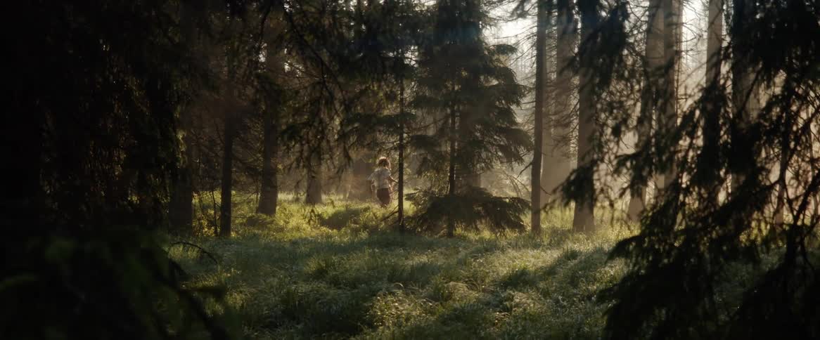A man and woman frolic through a sunny forest