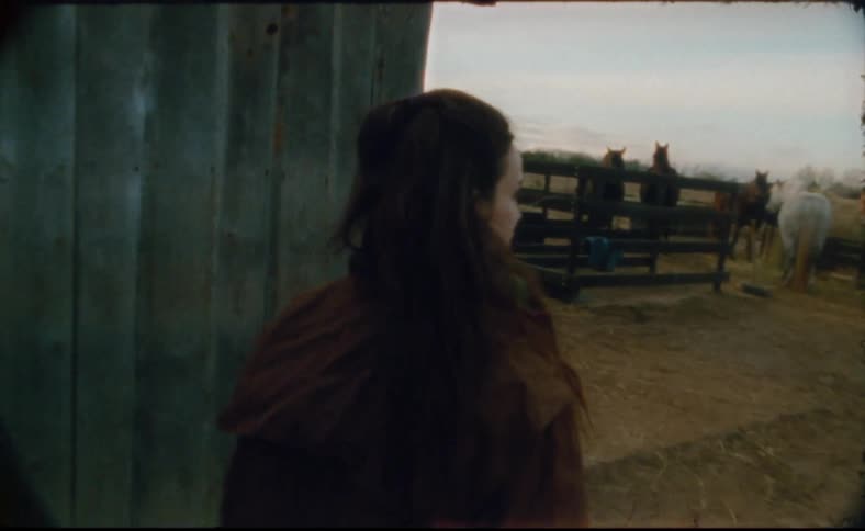 A woman is walking on a farm toward horses and they are startled when she arrives