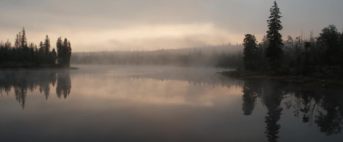 A woman in a white gown walks toward the lake surface which reflects the trees and clouds