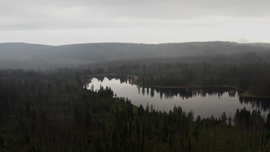 An aerial view of a river in the forest
