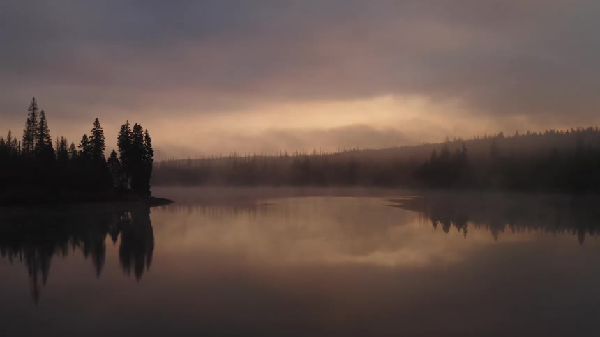 Aerial view of the mist hanging over the pine tree forest on a lake at sunset