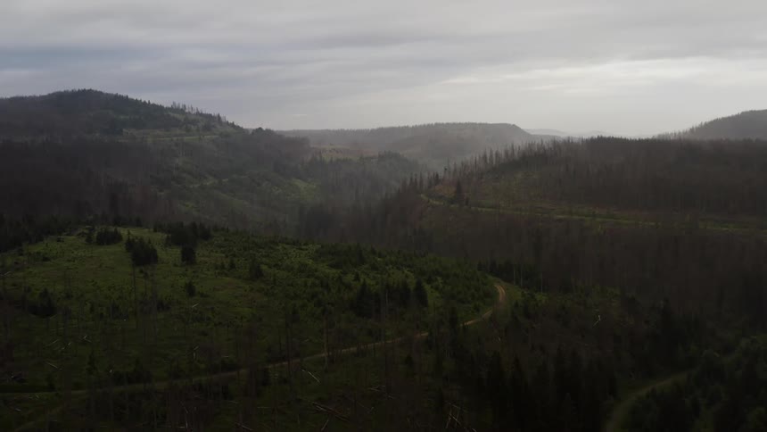 The view is of the forest outdoors with the mountains in the distance