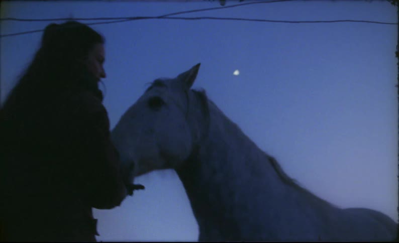 A woman and a horse outdoors