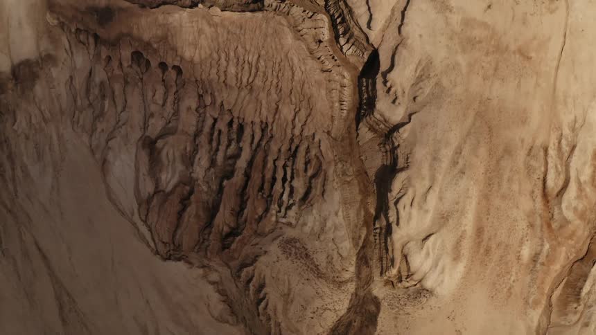 Fossils are embedded in rock filled with cracks