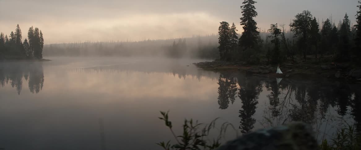 A view of a lake with trees around it