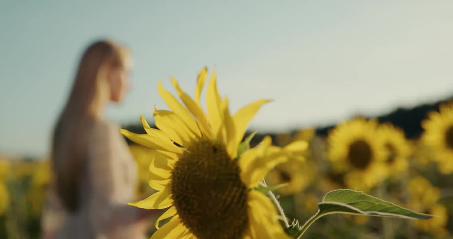 A woman is walking through a field of flowers