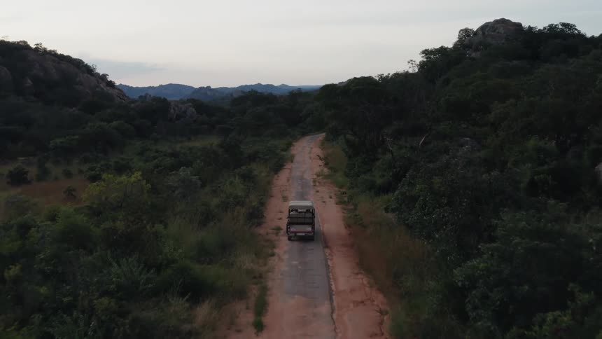 A truck is traveling on a dirt road surrounded by trees and there are mountains in the distance