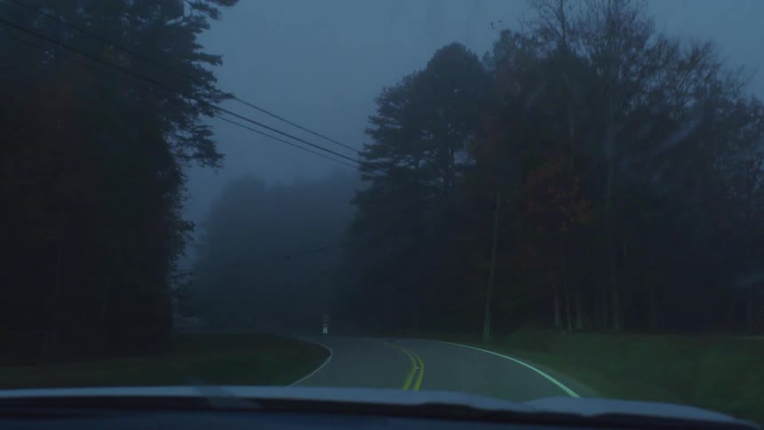 A vehicle travels along a road through a foggy forest in the evening