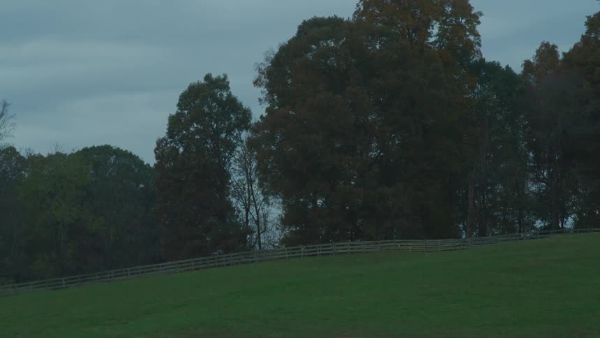 A field surrounding by fencing on a cloudy evening