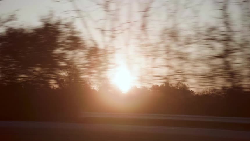 While moving through the trees the sun peeks through the leaves and branches