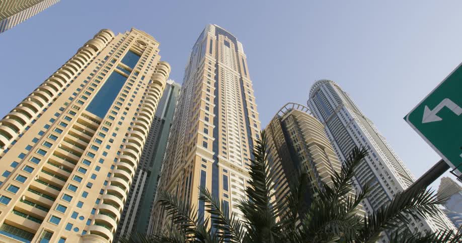 A tree in front of tall skyscrapers in a city