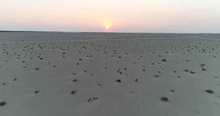 Shrubs poke through the dry soil of a vast arid flatland in the evening