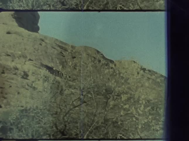 Pale leafed trees sit at base of stone mountain
