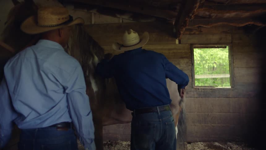 A man brushes his horse in the stables while another man watches