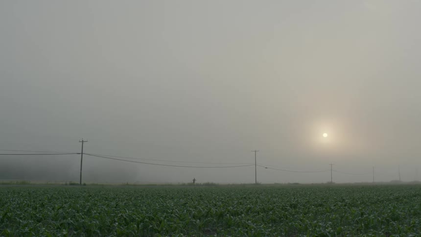 Man jogging down foggy country road