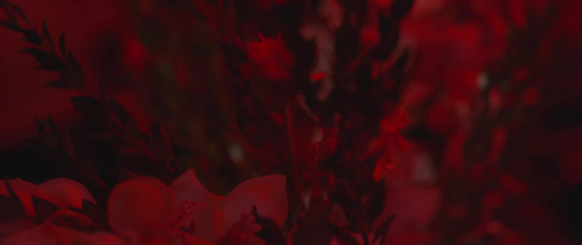 Flowers sit in a red hue area