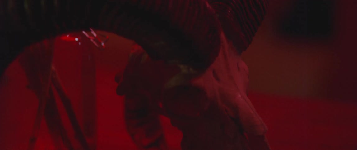 An animal skull in red light