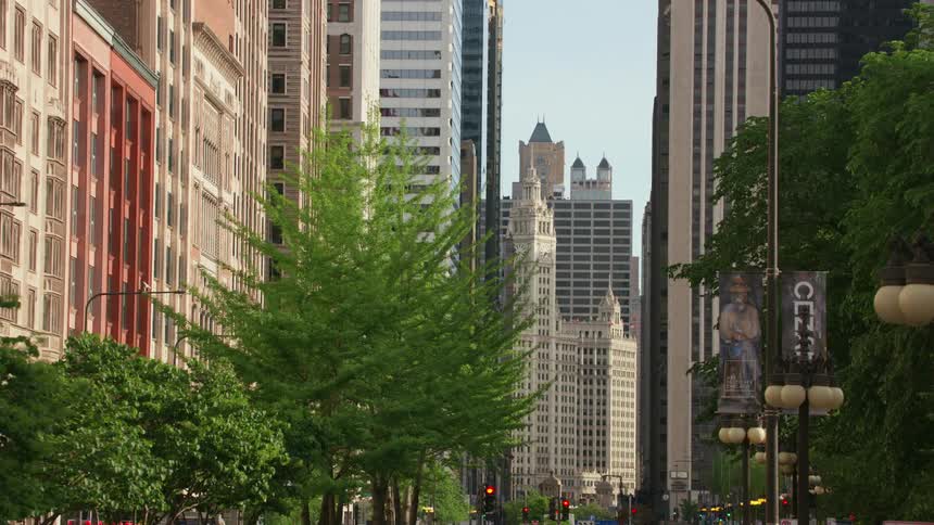 Tall trees and skyscrapers line a busy city street downtown