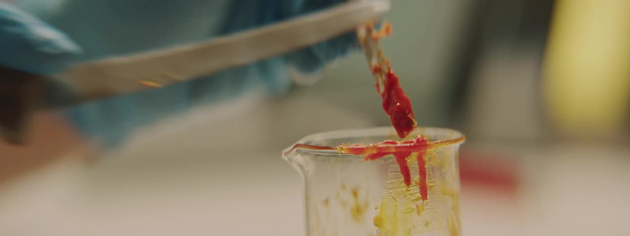 A person in a lab scrapes a substance off a stick and sets it in a beaker