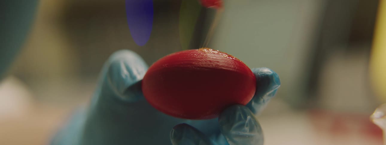 Gloved hands applying red gel to an egg shaped object