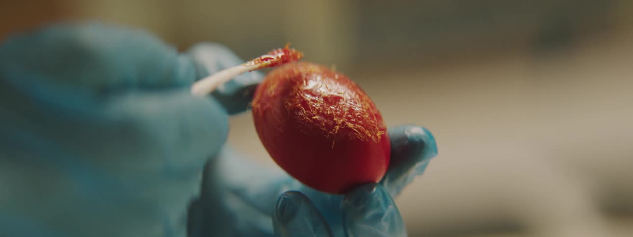 A person uses a small wooden stick to paint a red object