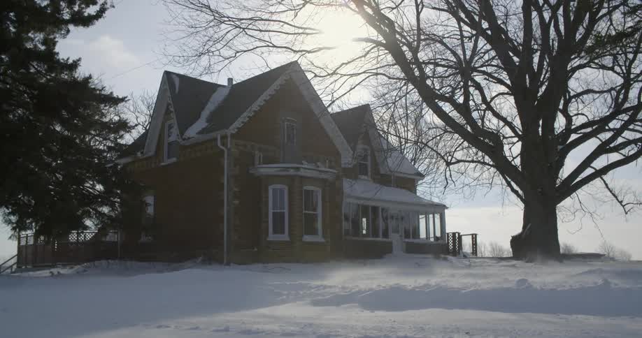 Snow blows past a house on a winter day
