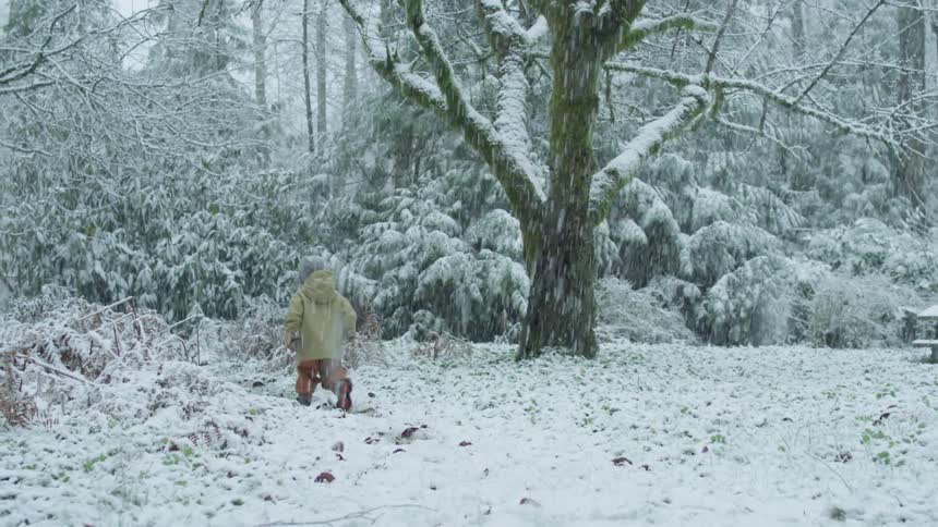 A child walks toward the trees while the snow falls