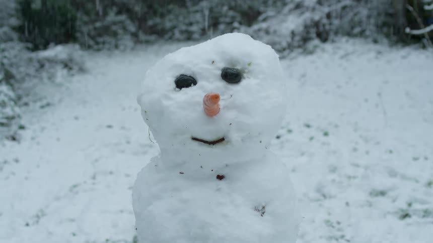 Snow falls onto small snowman standing on snow covered ground