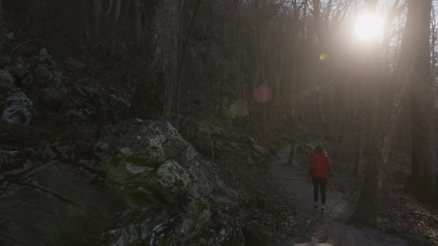 A woman walks quickly through a sunny forest