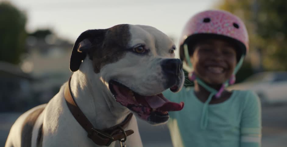 A girl is outdoors with her dogin a neighborhood